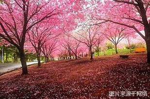 http://oa.4000500521.com//upimg/seot/t20161219142324159.jpg