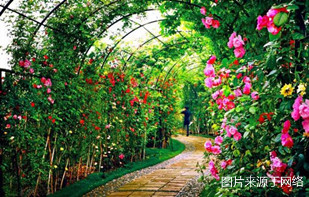 http://oa.4000500521.com//upimg/seot/t20161219154823264.jpg
