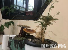http://oa.4000500521.com//upimg/seot/t20190701173553213.jpg